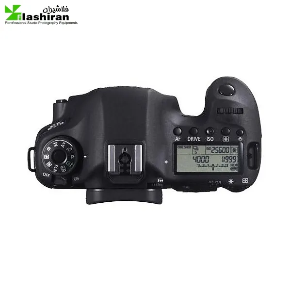 6d Body (3)