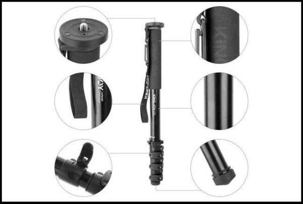 نقد و بررسی تک&zwnj; پا&zwnj;یه Kingjoy MP208FL