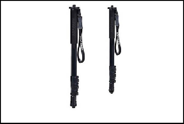 معرفی تک پایه کینگ جوی Kingjoy MP208FL