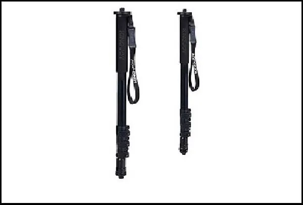 معرفی تک پایه کینگ جوی Kingjoy MP208FL