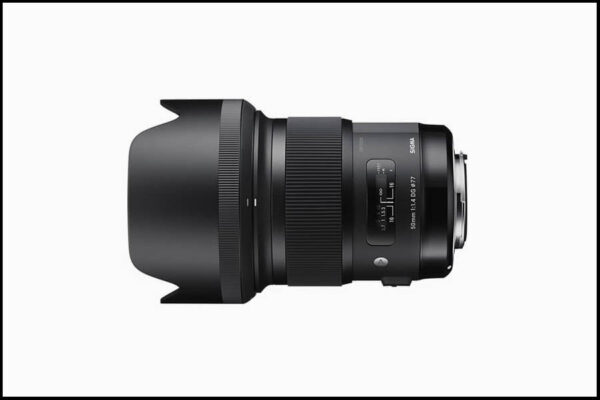 کاربرد اصلی لنز سیگما Sigma 50mm f/1.4 DG HSM Art for Sony E عکاسی پرتره است