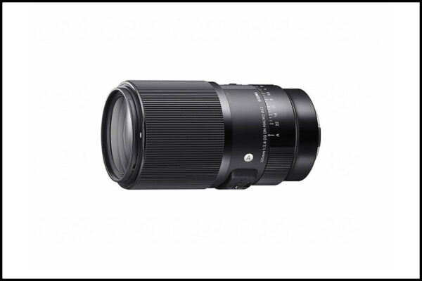 یکی از مهم&zwnj;ترین ویژگی&zwnj;های Sigma 105mm f/2.8، سیستم فوکوس خودکار بسیار قدرتمند و سریع آن است