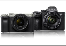 مقایسه دوربین سونی a7 iii با سونی a7c | بررسی مهم‌ترین تفاوت‌های دو مدل