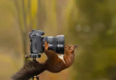 مقایسه مزایای دوربین های بدون آینه با دوربین های DSLR کانن از جنبه‌های مختلف