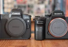 مقایسه دوربین کانن R8 با دوربین سونی a7 iii | کدام دوربین بهتر است؟